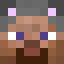 Player Head
